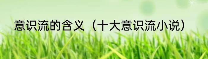 意识流的含义（十大意识流小说）