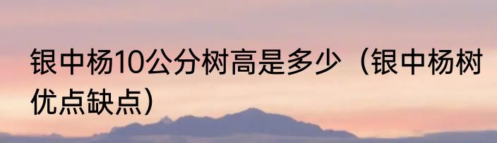 银中杨10公分树高是多少（银中杨树优点缺点）