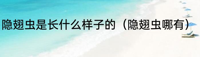 隐翅虫是长什么样子的（隐翅虫哪有）