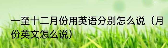 一至十二月份用英语分别怎么说（月份英文怎么说）