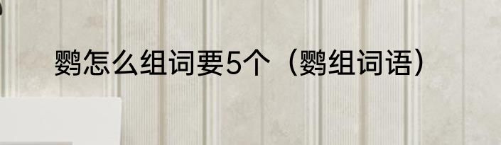鹦怎么组词要5个（鹦组词语）