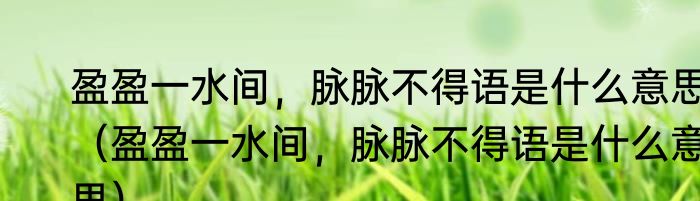 盈盈一水间，脉脉不得语是什么意思（盈盈一水间，脉脉不得语是什么意思）