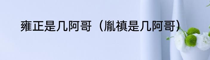 雍正是几阿哥（胤禛是几阿哥）