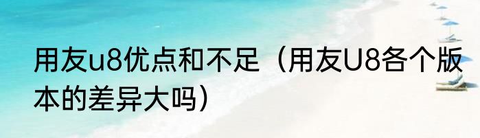 用友u8优点和不足（用友U8各个版本的差异大吗）