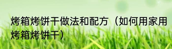 烤箱烤饼干做法和配方（如何用家用烤箱烤饼干）