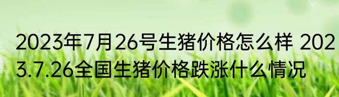 2023年7月26号生猪价格怎么样 2023.7.26全国生猪价格跌涨什么情况