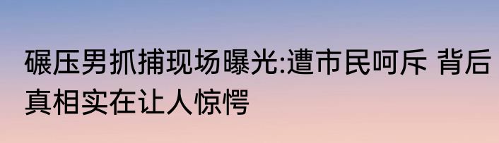 碾压男抓捕现场曝光:遭市民呵斥 背后真相实在让人惊愕