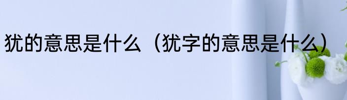 犹的意思是什么（犹字的意思是什么）
