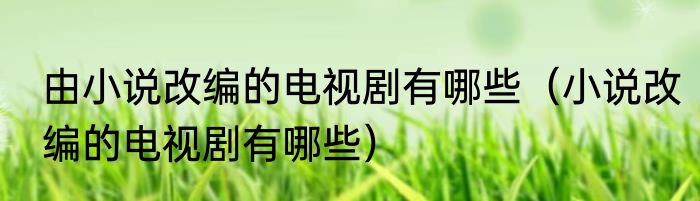由小说改编的电视剧有哪些（小说改编的电视剧有哪些）