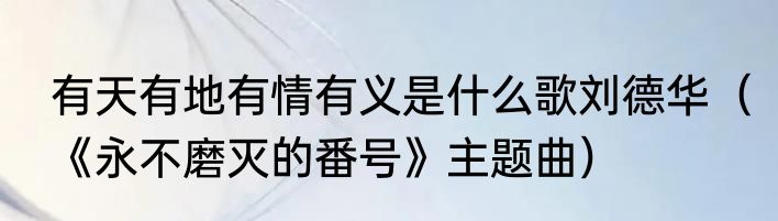 有天有地有情有义是什么歌刘德华（《永不磨灭的番号》主题曲）