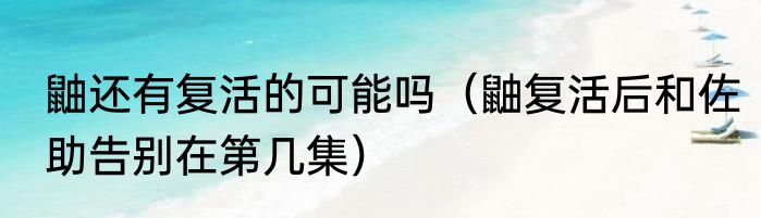 鼬还有复活的可能吗（鼬复活后和佐助告别在第几集）