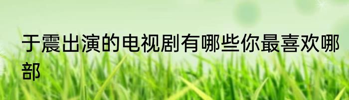 于震出演的电视剧有哪些你最喜欢哪部