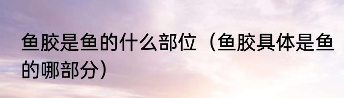 鱼胶是鱼的什么部位（鱼胶具体是鱼的哪部分）