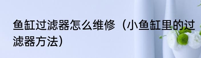 鱼叉钓鱼攻略（鱼叉怎么获得）