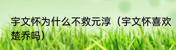 宇文怀为什么不救元淳（宇文怀喜欢楚乔吗）