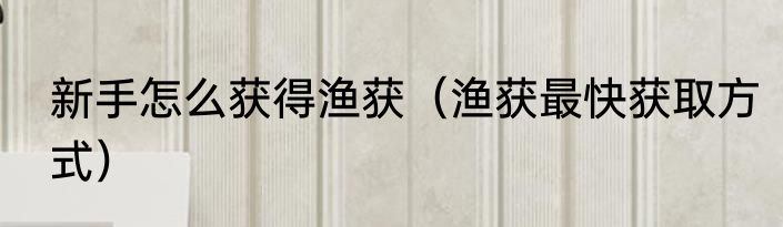 新手怎么获得渔获（渔获最快获取方式）