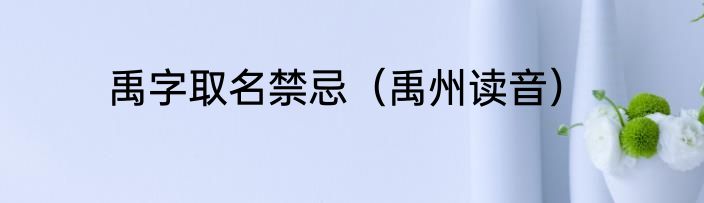 禹字取名禁忌（禹州读音）