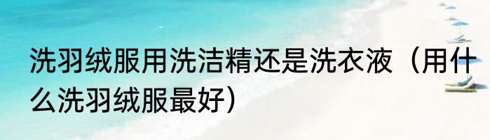 洗羽绒服用洗洁精还是洗衣液（用什么洗羽绒服最好）