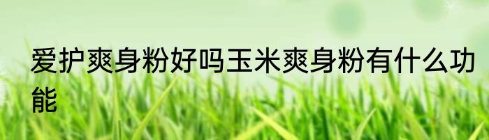 爱护爽身粉好吗玉米爽身粉有什么功能