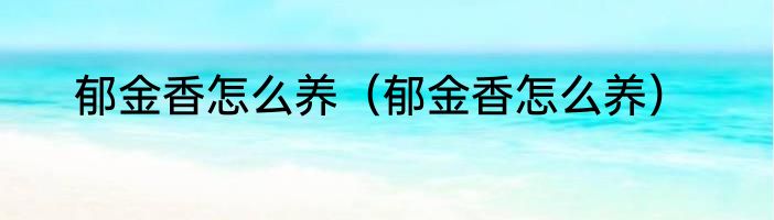 郁金香怎么养（郁金香怎么养）