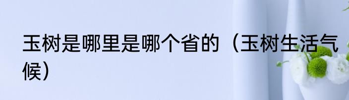 玉树是哪里是哪个省的（玉树生活气候）