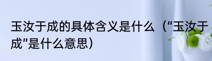 玉汝于成的具体含义是什么（“玉汝于成”是什么意思）