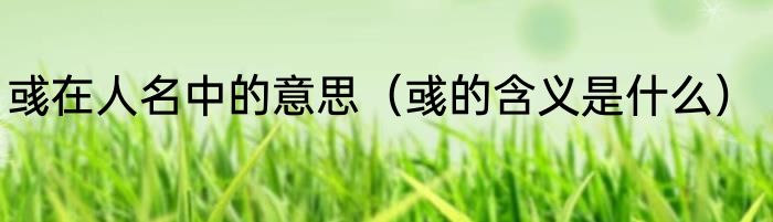 彧在人名中的意思（彧的含义是什么）