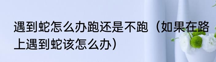 遇到蛇怎么办跑还是不跑（如果在路上遇到蛇该怎么办）