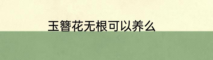 玉簪花无根可以养么