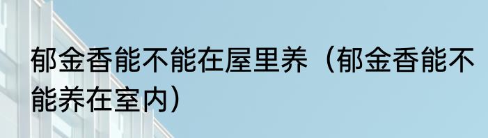 郁金香能不能在屋里养（郁金香能不能养在室内）