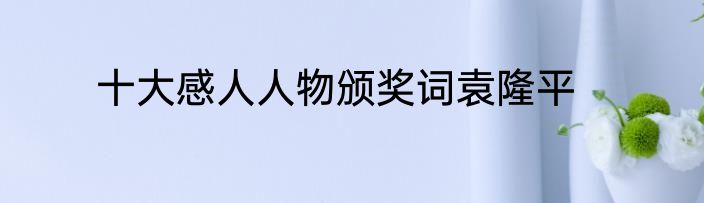 十大感人人物颁奖词袁隆平