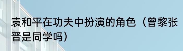 袁和平在功夫中扮演的角色（曾黎张晋是同学吗）