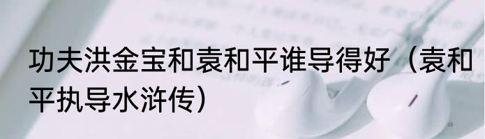 功夫洪金宝和袁和平谁导得好（袁和平执导水浒传）