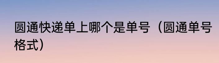 圆通快递单上哪个是单号（圆通单号格式）