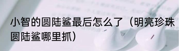 小智的圆陆鲨最后怎么了（明亮珍珠圆陆鲨哪里抓）