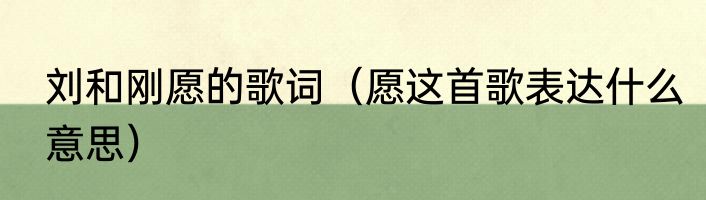 刘和刚愿的歌词（愿这首歌表达什么意思）