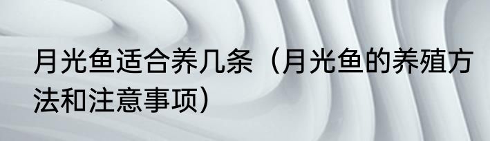 月光鱼适合养几条（月光鱼的养殖方法和注意事项）