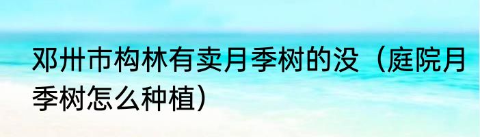 邓卅巿构林有卖月季树的没（庭院月季树怎么种植）
