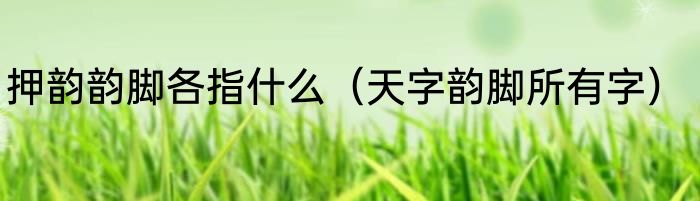 押韵韵脚各指什么（天字韵脚所有字）