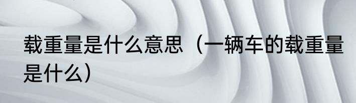 载重量是什么意思（一辆车的载重量是什么）