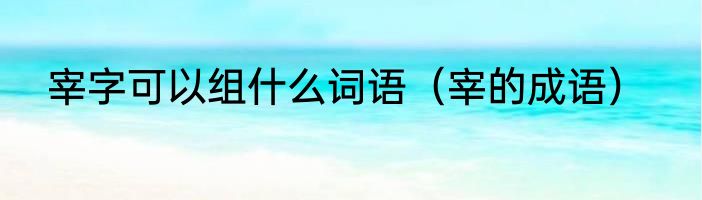 宰字可以组什么词语（宰的成语）