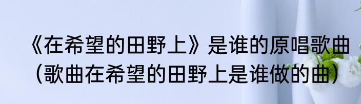 《在希望的田野上》是谁的原唱歌曲（歌曲在希望的田野上是谁做的曲）