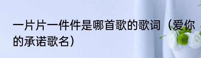 一片片一件件是哪首歌的歌词（爱你的承诺歌名）