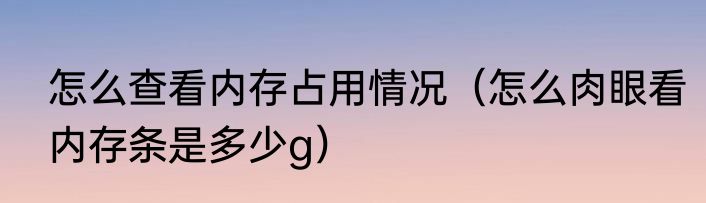 怎么查看内存占用情况（怎么肉眼看内存条是多少g）