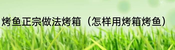 烤鱼正宗做法烤箱（怎样用烤箱烤鱼）