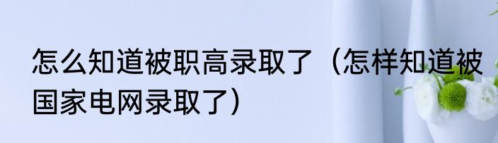 怎么知道被职高录取了（怎样知道被国家电网录取了）