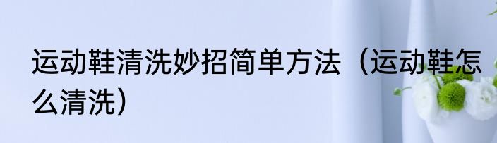 运动鞋清洗妙招简单方法（运动鞋怎么清洗）