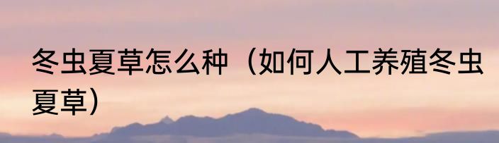 冬虫夏草怎么种（如何人工养殖冬虫夏草）