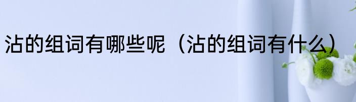 沾的组词有哪些呢（沾的组词有什么）