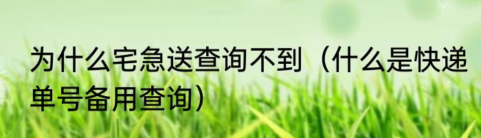 为什么宅急送查询不到（什么是快递单号备用查询）